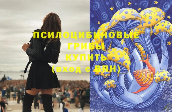 сатива Алзамай