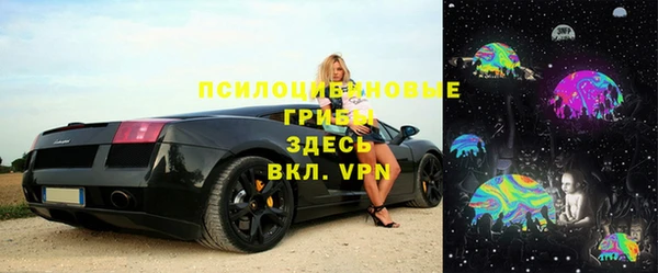 сатива Алзамай