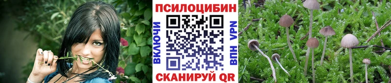 Галлюциногенные грибы Cubensis  где купить наркоту  Краснообск 